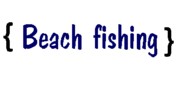 Beach Fishing Link